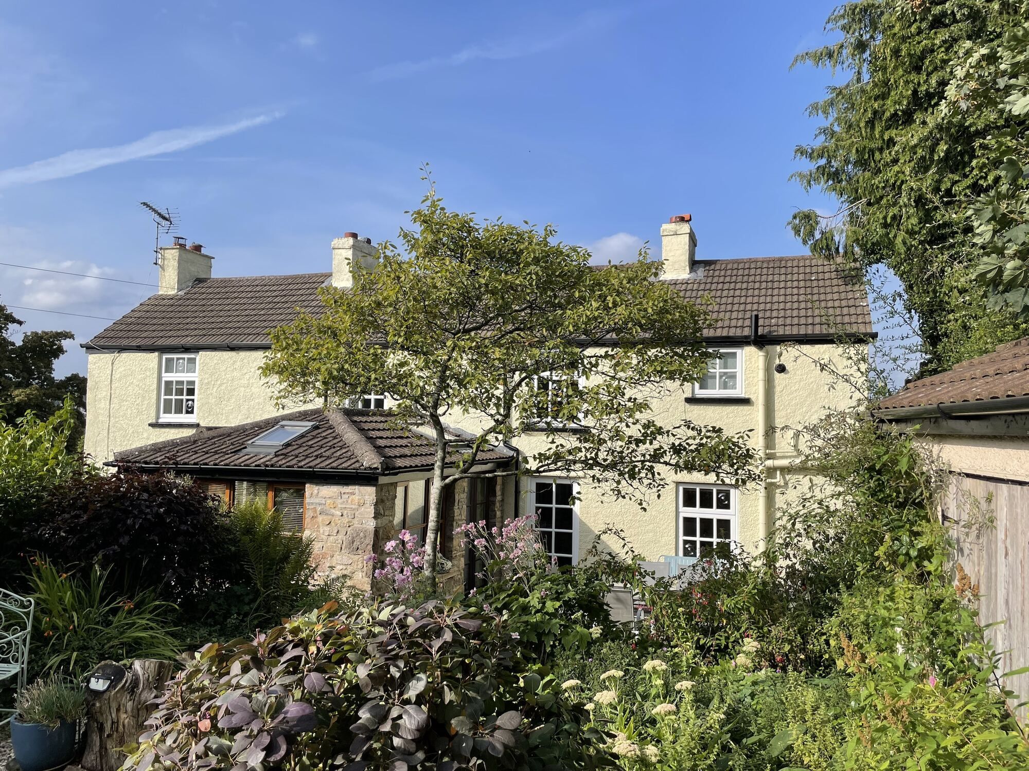 Vauxhall Cottage seen from its summer garden, in full sun